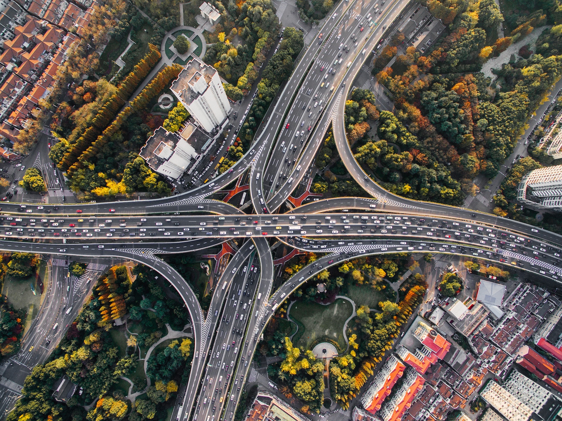Building Success with a Comprehensive Scaling Roadmap